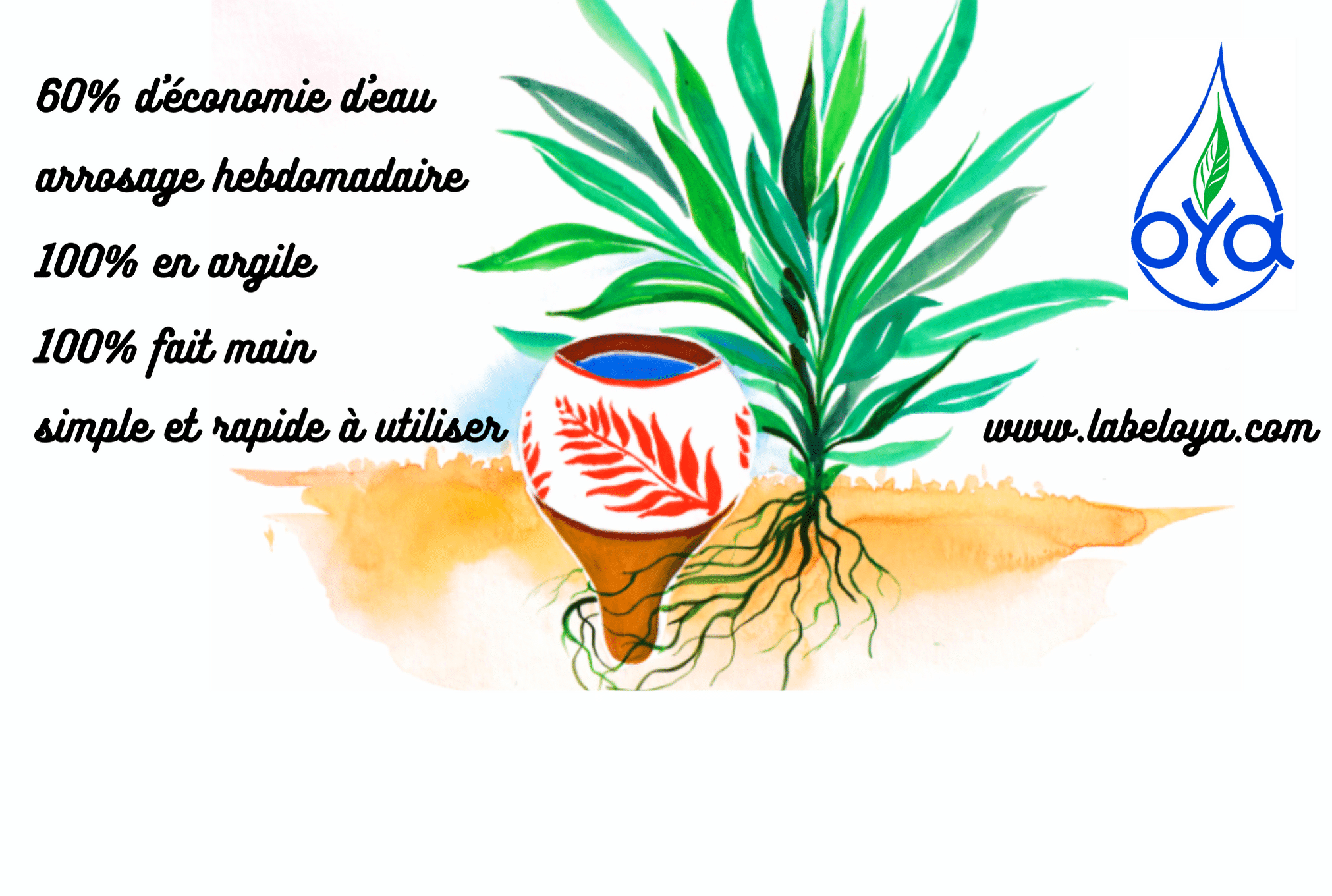 arrosage avec des pots en terre cuite