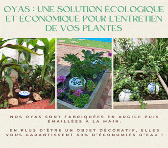 Les Oyas: une solution ecologique