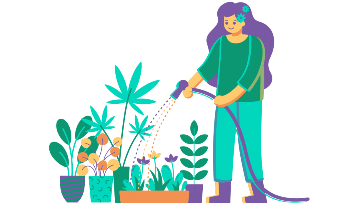 tendance 2024 jardineries article